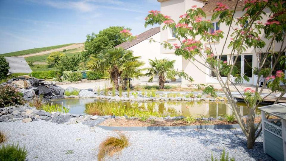 Domaine Bacchus Bed & Breakfast Reuil-sur-Marne Екстериор снимка