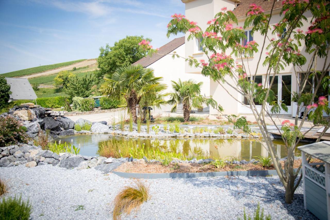 Domaine Bacchus Bed & Breakfast Reuil-sur-Marne Екстериор снимка